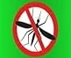 Insect & Pest Control